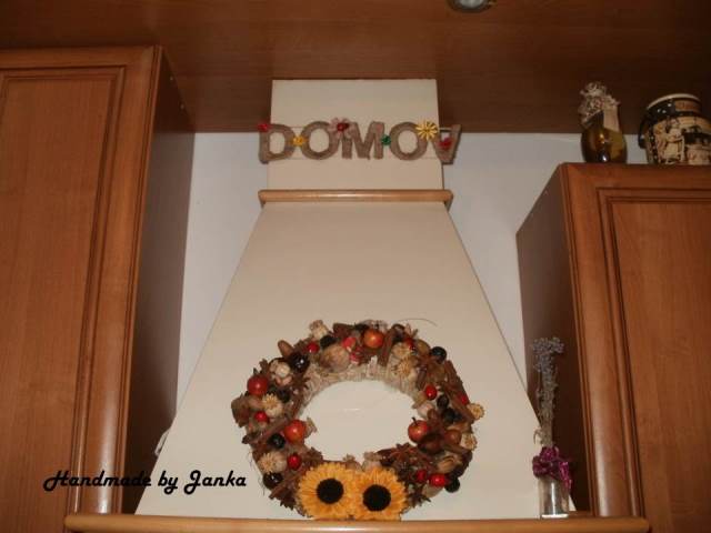 Domov